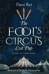 bokomslag Fools' Circus