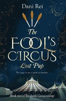bokomslag Fools' Circus