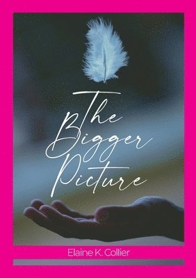 Elaine Collier - Bigger Picture, Häftad