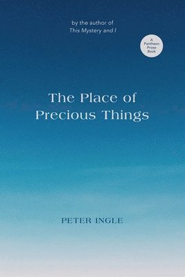 bokomslag Place of Precious Things