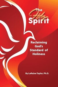 bokomslag Holy Spirit