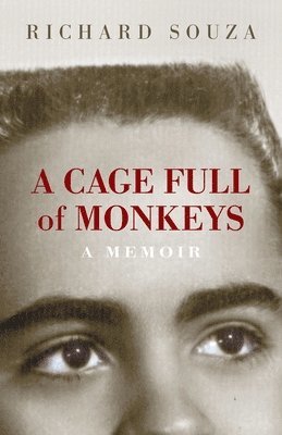 bokomslag Cage Full of Monkeys