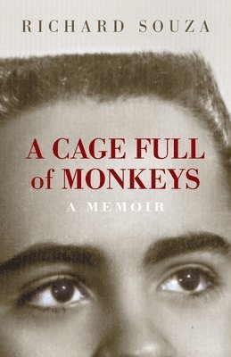 A Cage Full of Monkeys 1