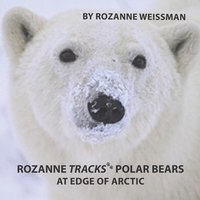 bokomslag Rozanne Tracks Polar Bears at Edge of Arctic