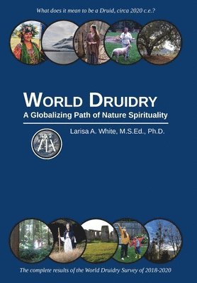 bokomslag World Druidry