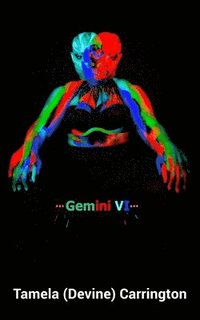 bokomslag Gemini VI