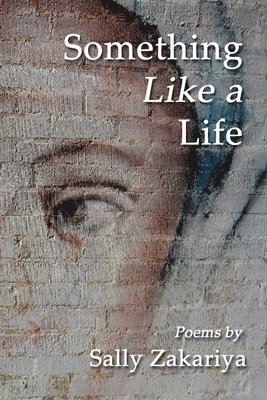 Sally Zakariya - Something Like a Life, Häftad