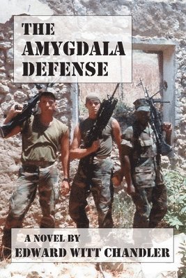 bokomslag The Amygdala Defense