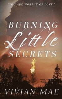 bokomslag Burning Little Secrets