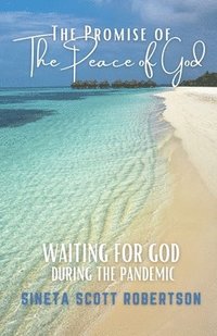 bokomslag The Promise of the Peace of God: Waiting for God During a Pandemic