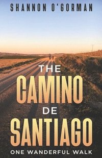 bokomslag Camino de Santiago