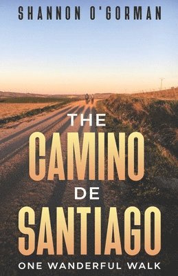 Camino de Santiago 1