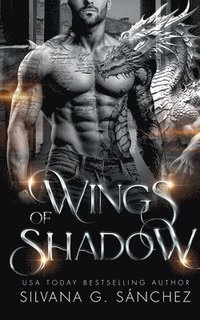 bokomslag Wings of Shadow