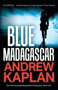 bokomslag Blue Madagascar