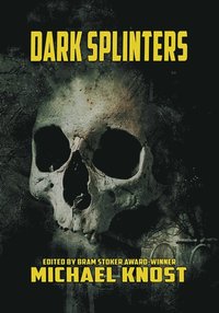 bokomslag Dark Splinters