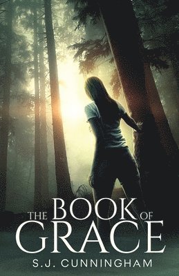 bokomslag The Book of Grace