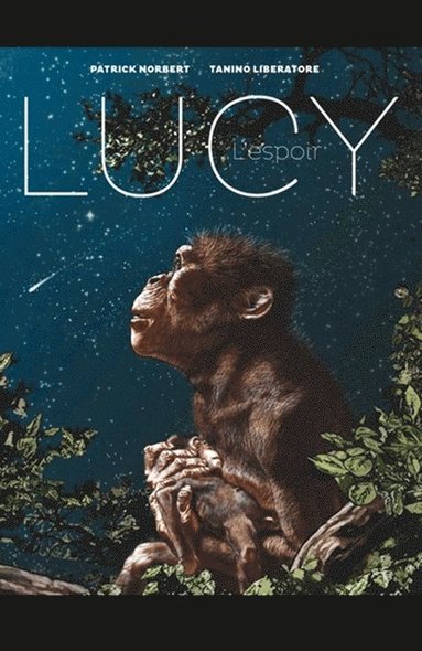 bokomslag Lucy