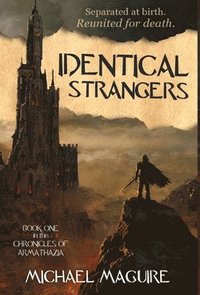 bokomslag Identical Strangers