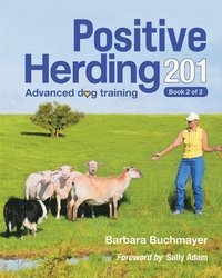 bokomslag Positive Herding 201