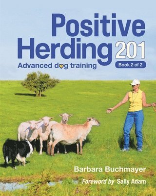 Positive Herding 201