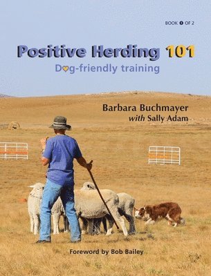 Positive Herding 101 1