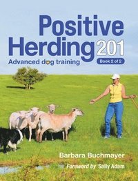 bokomslag Positive Herding 201