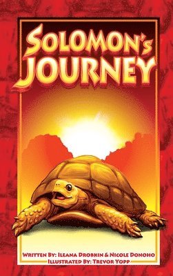 bokomslag Solomon's Journey