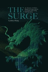 bokomslag The Surge