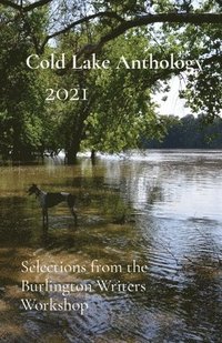 bokomslag Cold Lake Anthology 2021