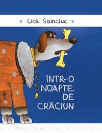 bokomslag Intr-o noapte de Craciun