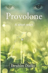 bokomslag Provolone: A short work