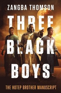 bokomslag Three Black Boys