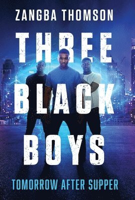 bokomslag Three Black Boys