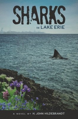 Sharks in Lake Erie 1