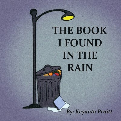 The Book I Found In The Rain 1