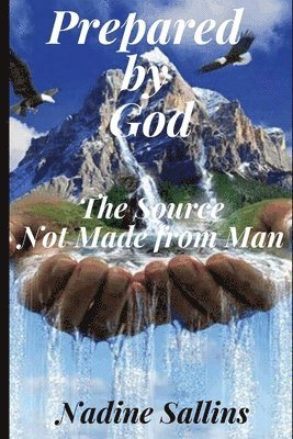 bokomslag Prepared By God: The Source Not Made From Man