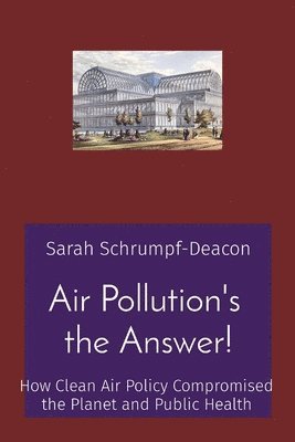 Air Pollution's the Answer! 1