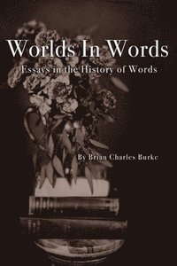 bokomslag Worlds in Words