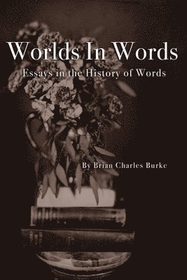 Worlds in Words
