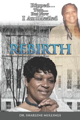 bokomslag Rebirth