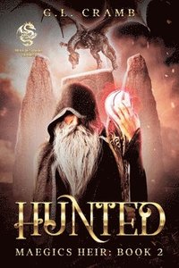 bokomslag Hunted