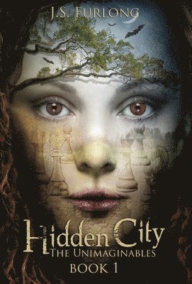 Hidden City 1