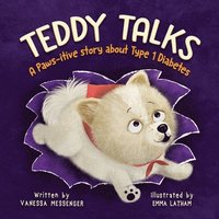 bokomslag Teddy Talks