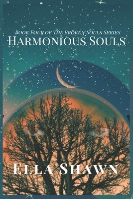 bokomslag Harmonious Souls