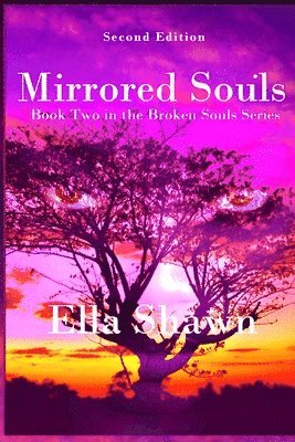 bokomslag Mirrored Souls