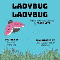 bokomslag Ladybug Ladybug