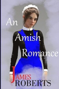 bokomslag An Amish Romance