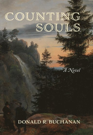 bokomslag Counting Souls