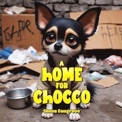 A Home For Chocco 1