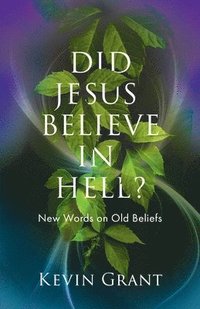 bokomslag Did Jesus Believe in Hell?